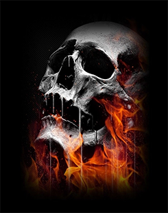 Left Skull
